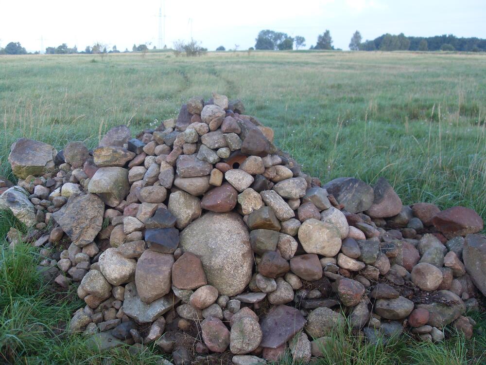 Lesesteinhaufen Kellerberge © Bundesforst/Riesner