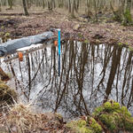 Temporärer Damm Deutener Moor © Deutsche Bundesstiftung Umwelt