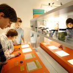 T-Shirts, Tueten und Tenside 