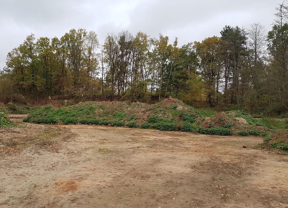 DBU Naturerbefläche Hainberg Weiher © Christian Hahn / Bundesforstbetrieb Reußenberg