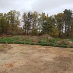 DBU Naturerbefläche Hainberg Weiher © Christian Hahn / Bundesforstbetrieb Reußenberg