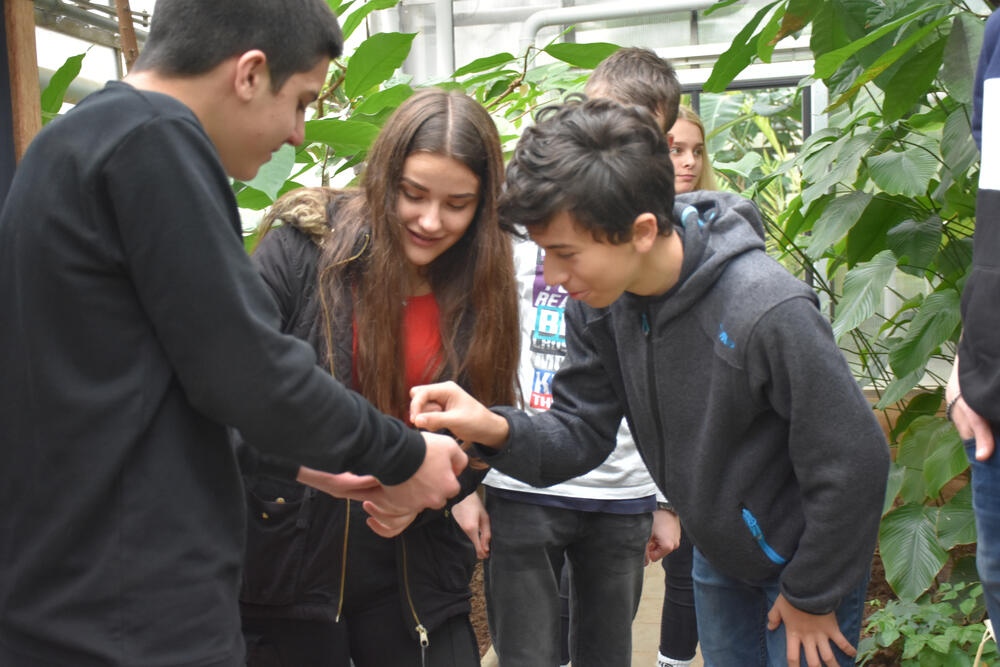 Jugendliche im Tropenhaus © Klaus Schaller