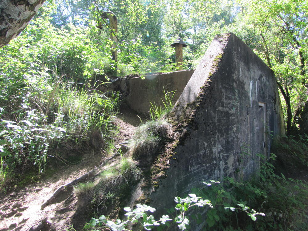 Naturerbefläche Wahner Heide © Nils Franke
