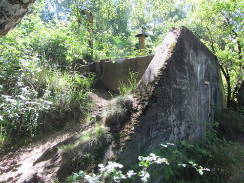 Naturerbefläche Wahner Heide © Nils Franke