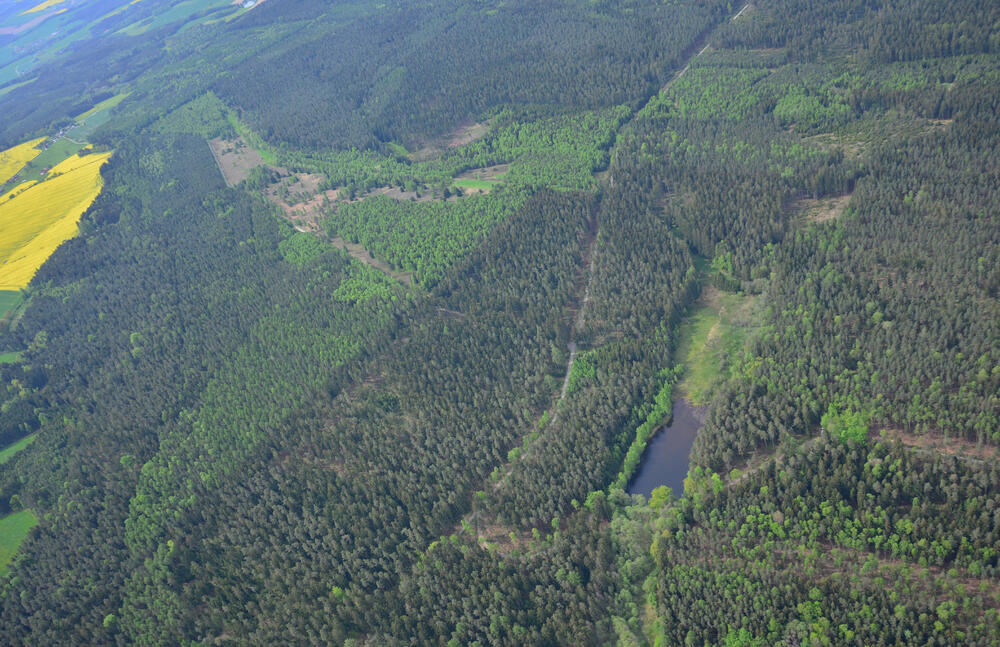 Luftaufnahme der DBU-Naturerbefläche Pöllwitzer Wald © Detlef Stremke