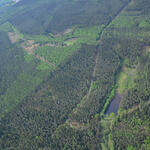Luftaufnahme der DBU-Naturerbefläche Pöllwitzer Wald © Detlef Stremke
