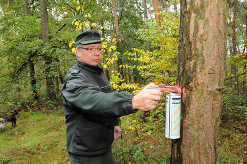Uwe Vanhauer im Authausener Wald © Steffen Brost (DBU)
