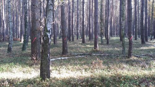 Rüthnicker Heide WiNat 