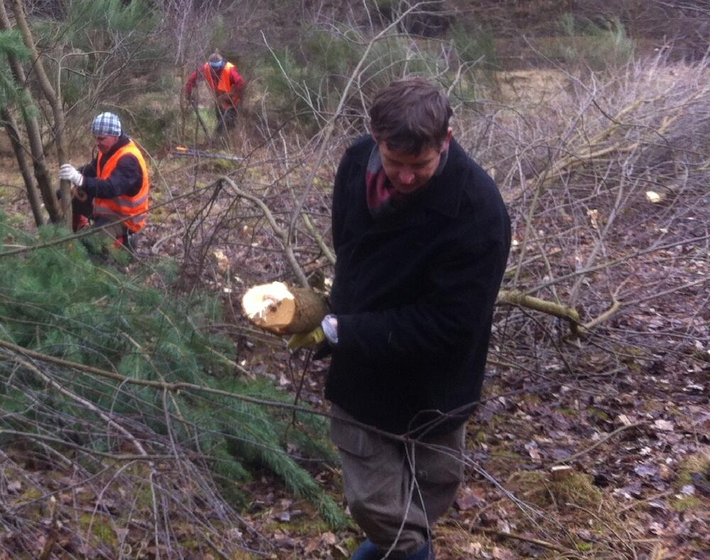 Bergwaldprojekt Hainberg © Bergwaldprojekt e.V.