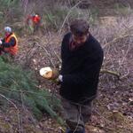 Bergwaldprojekt Hainberg © Bergwaldprojekt e.V.