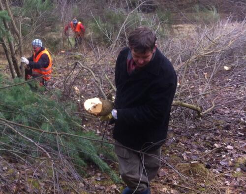 Bergwaldprojekt Hainberg © Bergwaldprojekt e.V.