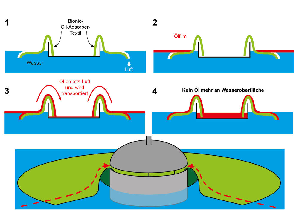 Schema Bionischer Öl-Adsorber © W. Barthlott, M. Mail/Universität Bonn