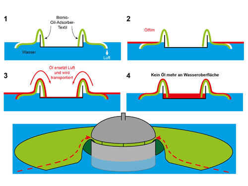 Schema Bionischer Öl-Adsorber © W. Barthlott, M. Mail/Universität Bonn