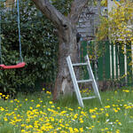 Kleingärten Schrebergärten Abwasser &copy; piclease/ Fern, Susanne