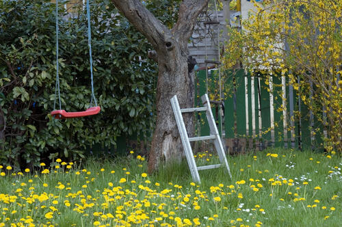 Kleingärten Schrebergärten Abwasser &copy; piclease/ Fern, Susanne