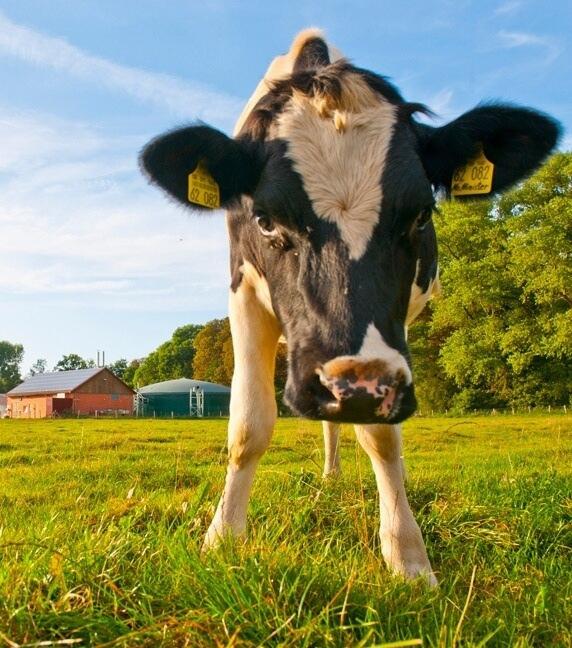 Sehen Sie selbst... &copy; Stadtwerke Kiel