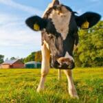 Sehen Sie selbst... &copy; Stadtwerke Kiel