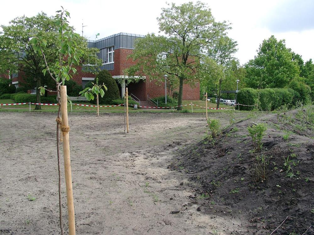 Schulgartenlabor der Hochschule Vechta - Obstwiese und Wallhecke (vor Gebäude der Katholischen Theologie) 
