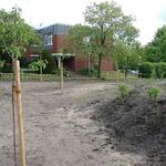 Schulgartenlabor der Hochschule Vechta - Obstwiese und Wallhecke (vor Gebäude der Katholischen Theologie) 