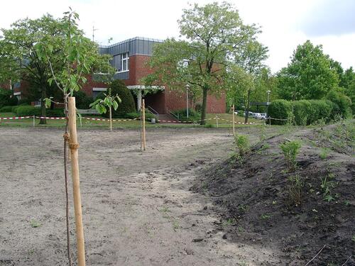 Schulgartenlabor der Hochschule Vechta - Obstwiese und Wallhecke (vor Gebäude der Katholischen Theologie) 