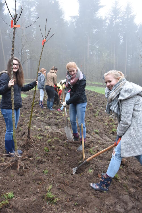 Baumpflanzaktion Angelaschule Osnabrück Dammer Berge © Susanne Reinartz