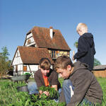 Trinationale Umweltbildung im Freilandlabor 