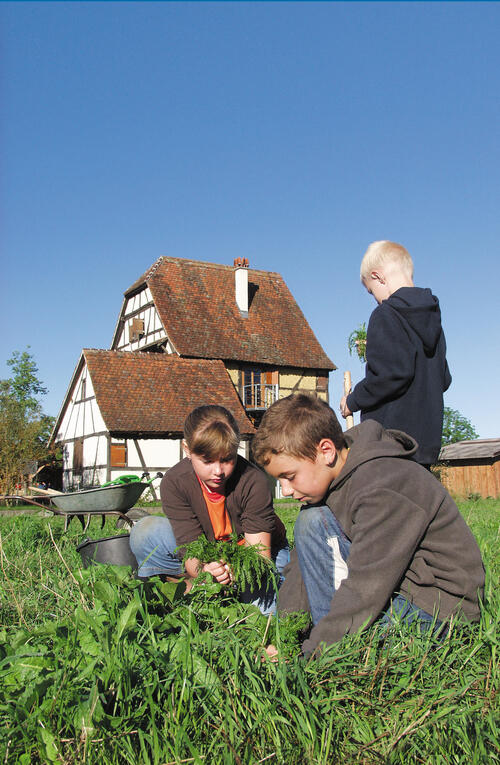 Trinationale Umweltbildung im Freilandlabor 
