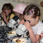 Naturwissenschaftlich in der Vorschule experimentieren 