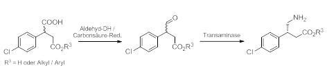 Baclofensynthese (Alternative) AZ 31842 © DBU-Projektpartner