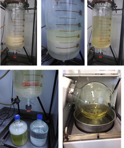 Kolben AZ 31842 © DBU-Projektpartner