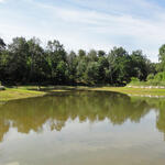 Hainbergweiher © Susanne Belting/ DBU Naturerbe