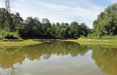 Hainbergweiher © Susanne Belting/ DBU Naturerbe