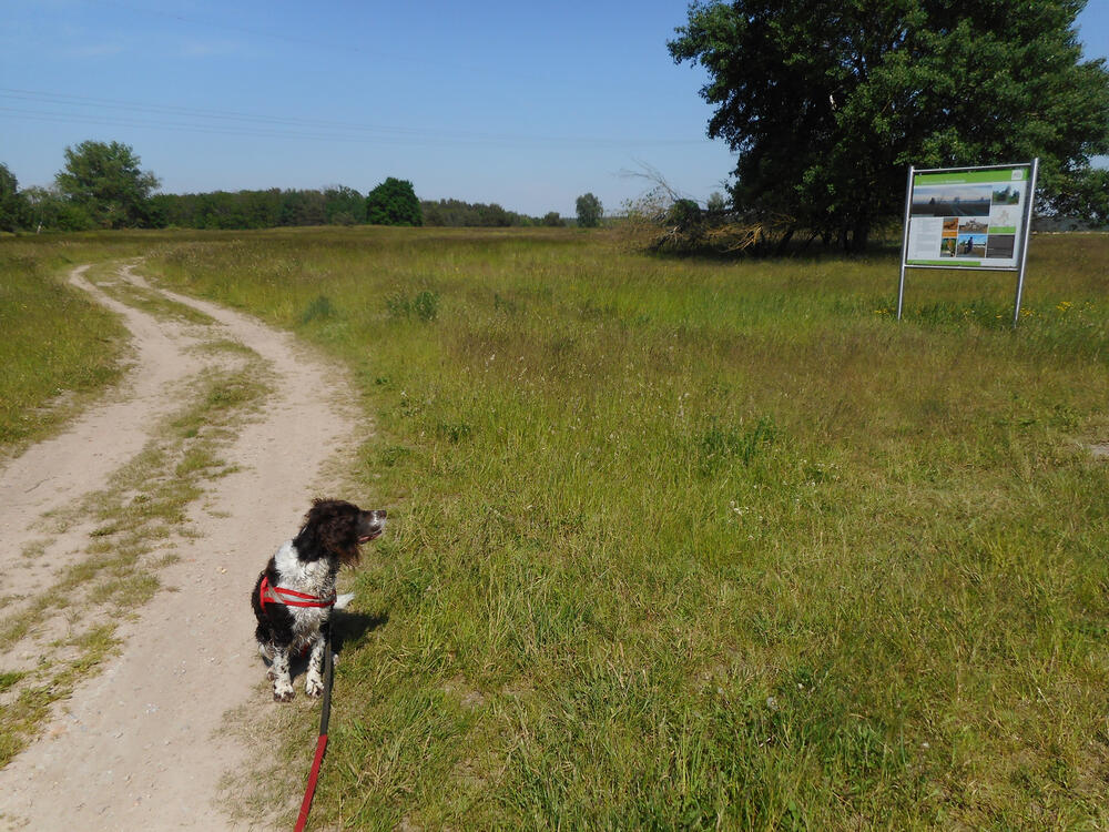 DBU-Naturerbefläche Kellerberge © Detlev Riesner/Bundesforst