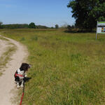 DBU-Naturerbefläche Kellerberge © Detlev Riesner/Bundesforst