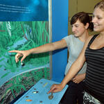 WasserWissen &copy; Michael Münch