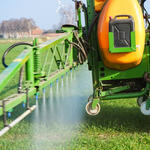 Sehen Sie selbst... &copy; countrypixel