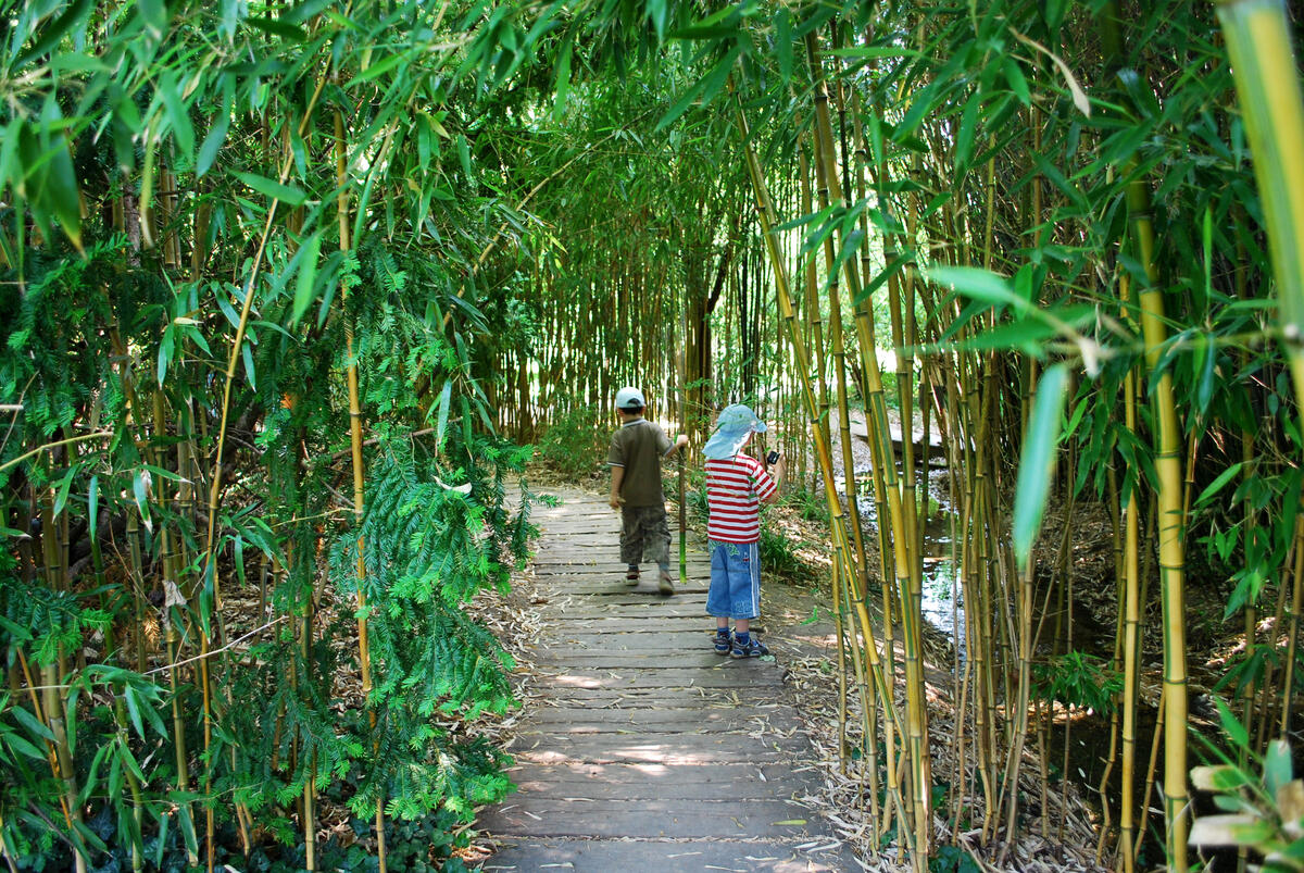 Kinder im Palmengarten 