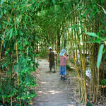 Kinder im Palmengarten 