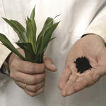 Mann mit Grünpflanze und Braunkohle &copy; MPI für Kolloid- und Grenzflächenforschung