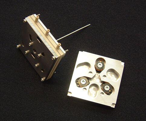 Biotechnische Herstellung von Bernsteinsäure 