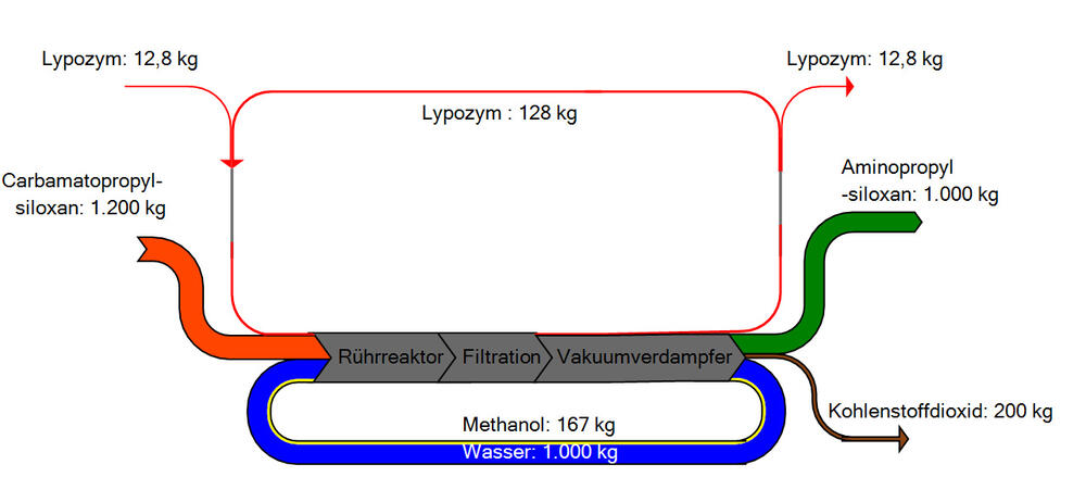Schematischer Ablauf biotechnologischer Polysiloxan-Synthese 