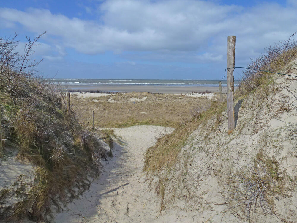 DBU-Naturerbefläche Borkumer Dünen © DBU/Pieper