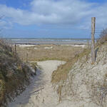 DBU-Naturerbefläche Borkumer Dünen © DBU/Pieper