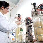 Sehen Sie selbst... &copy; evocatal GmbH