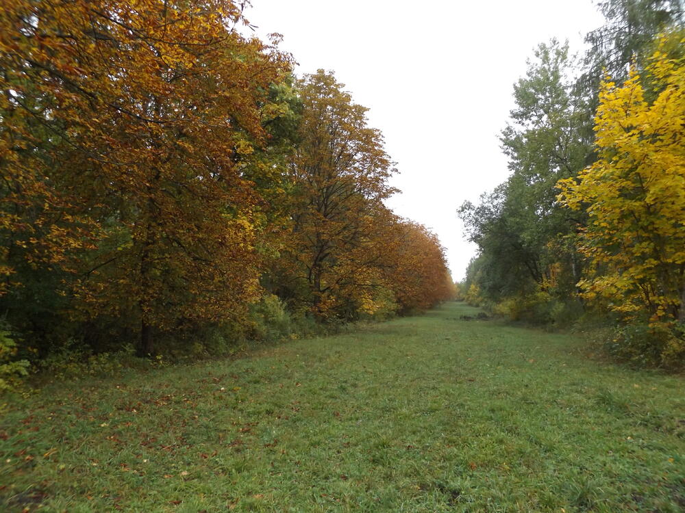 Sehen Sie selbst... © Dieter Tangermann