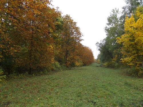 Sehen Sie selbst... © Dieter Tangermann