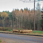 DBU-Naturerbefläche Weißes Venn-Geisheide © Horst Böke/Bundesforst