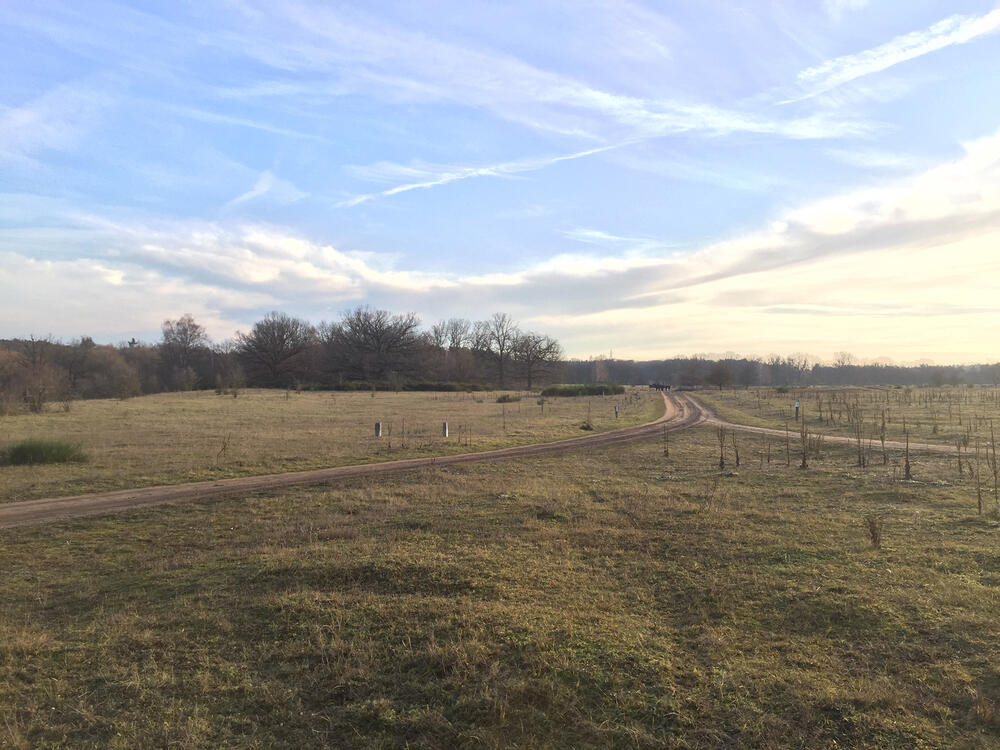 DBU-Naturerbefläche Hainberg © Severin Lechner/Bundesforst