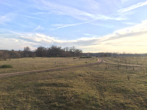 DBU-Naturerbefläche Hainberg © Severin Lechner/Bundesforst