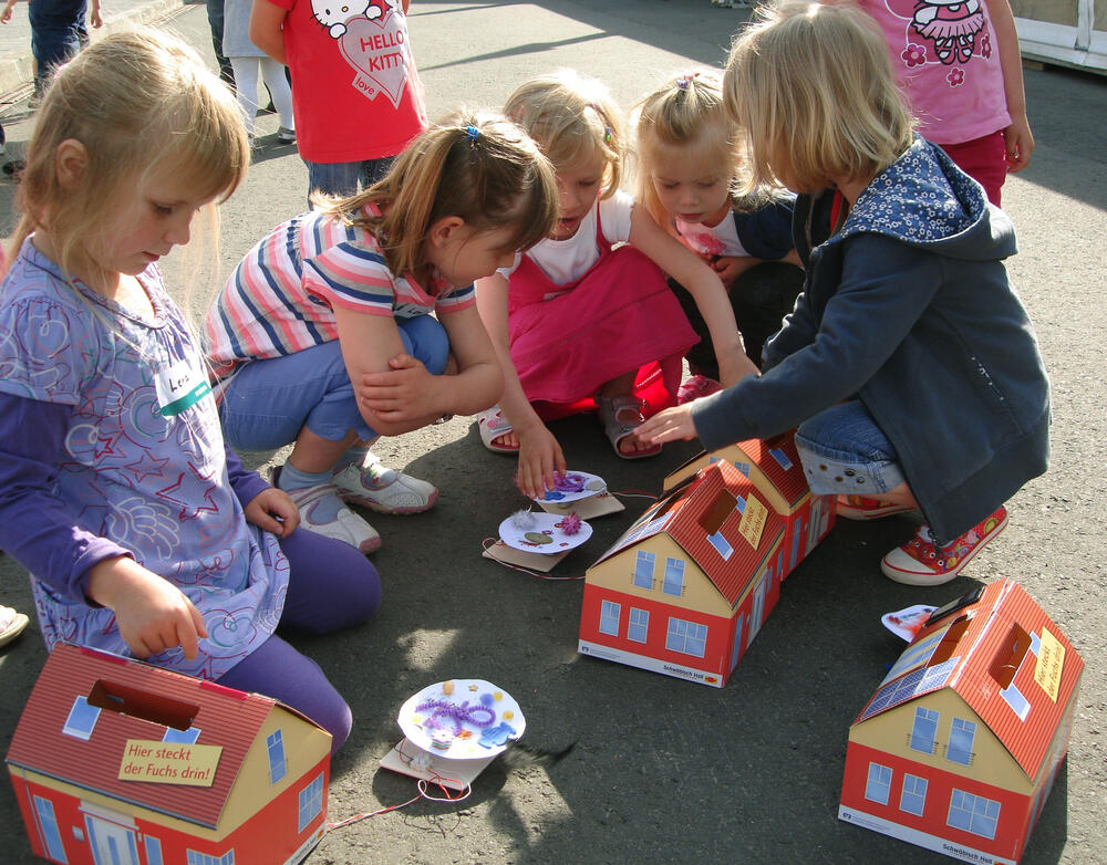 Nachwuchs entdeckt EnergiePLUS 